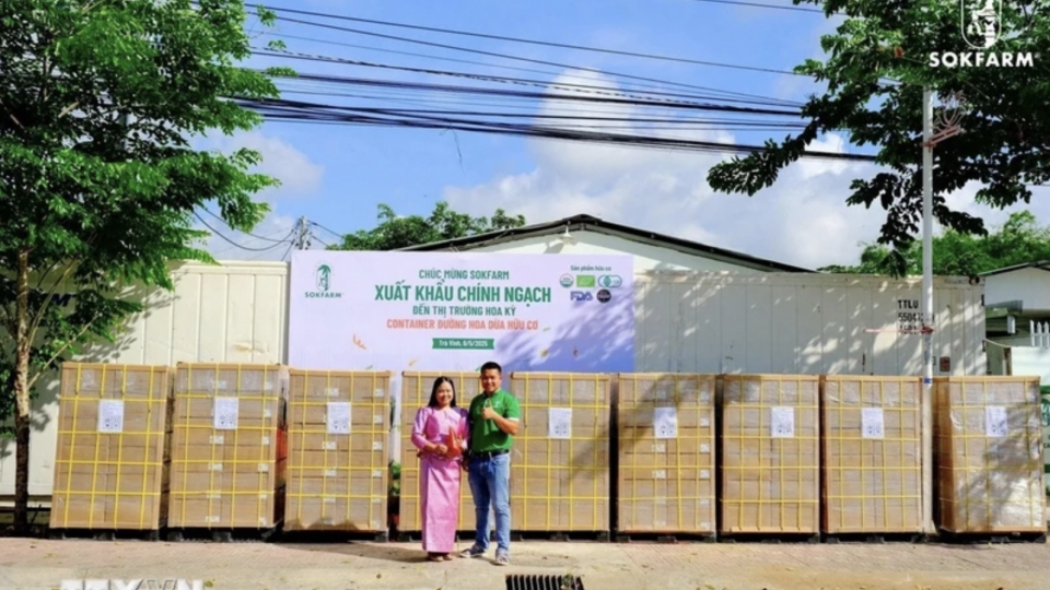Tra Vinh exports first batch of organic coconut flower nectar to US